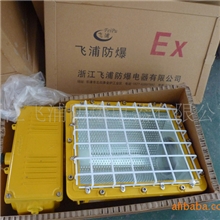 供应BFC8110防爆泛光灯