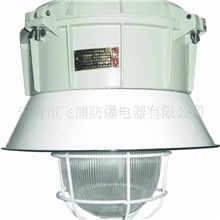 供应BFD系列增安型防爆防腐灯