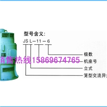 厂家直销-JSL-11-4-180KW三相异步电动机