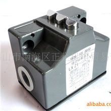 供应组合行程开关LXZ1-03Z/W