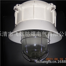 BF-系列防爆防腐灯,BF防爆防腐灯,防爆防腐灯厂家批发,防爆灯