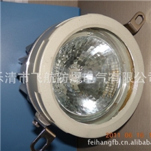 防爆视孔灯BSD，防爆视孔灯生产电话，视孔灯供应商，柳市视孔灯