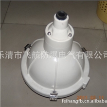 BAD57-e防爆防腐灯，BAD58防爆灯，BDA59防爆灯，BAD56