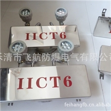 不锈钢防爆双头应急灯,防爆双头应急灯,防爆应急灯生产厂家BYY