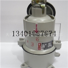 专业批发各种防爆器材防爆插销AC-15AC-30