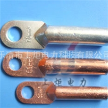 供应现货国标/非标DT线鼻子,线鼻子型号,线鼻子