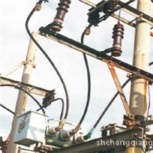 15KV高压单芯预制式户外终端1*50上海厂家直销