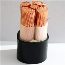 长城电线电缆交联聚乙烯YJV2*35电力电缆