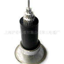 钢芯架空铝绞线