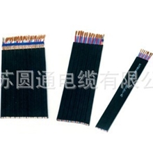 各种型号ZR-YSFVR影视电缆