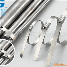 供应不锈钢扎带/喷塑/包塑/304/316