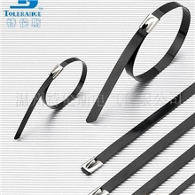 供应G型喷塑不锈钢扎带