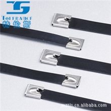 供应喷塑不锈钢扎带，CoatedSSCableTie