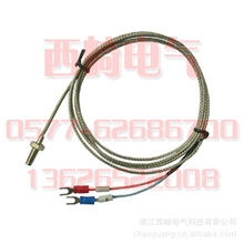 厂家直销热电偶WRNT-02螺钉热电偶K型热电偶罗丁热电偶