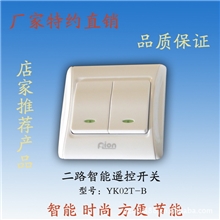 厂家直供二路智能无线遥控开关家居、商业装修220v遥控墙壁开关