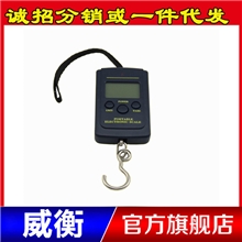 非背光威衡电子称便携式手提称手提秤电子秤钓鱼秤40kg/10g