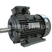 经销批发东元AEEV系列电机微型电动机