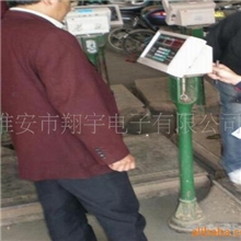上海友声机改电电子称重仪表100~500KG