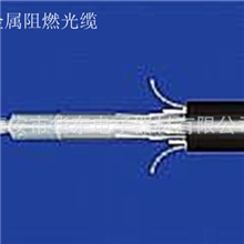MGTSV阻燃光缆/矿用阻燃通讯光缆/矿用通信光缆