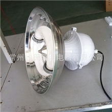 厂家直销无极灯.高频低频.80W-200W