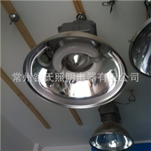 生产.高频.低频无极灯.