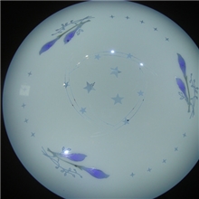 广东中山厂家直销恒流高档LED8W10W15W18W特价吸顶灯