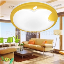 苹果形亚克力LED吸顶灯饰卧式灯过道灯阳台灯厨卫灯具