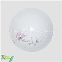 厂家批发：金银花亚克力LED吸顶灯饰卧式灯过道灯阳台灯厨卫灯具