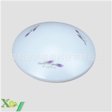 优质正品百合亚克力LED吸顶灯饰卧室灯具过道灯阳台灯厨卫灯