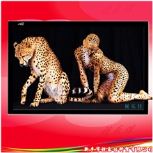 供应投影幕，投影机投影幕厂家直销