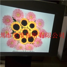 深圳大型代理商供应进口全息投影玻璃膜幕全息舞台膜全息幻像样