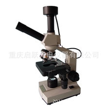 供应美容院专用螨虫检测仪水样检测仪精子检测仪