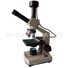 供应厂家直销轻巧超经济型一滴血检测仪生物显微镜