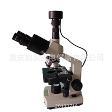 供应双目便携式一滴血检测仪螨虫检测仪视频显微镜