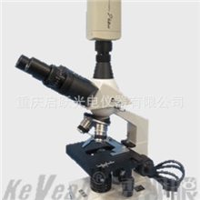 供应厂家直销一滴血检测仪双目高清便携接投影13983731339