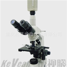 供应专业高清高档双目明场+暗场双背景一滴血检测仪畅销版