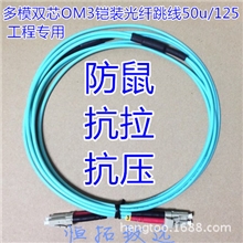 3米防鼠抗拉抗压OM3万兆多模双芯铠装光纤跳线定做LC/SC/ST/FC