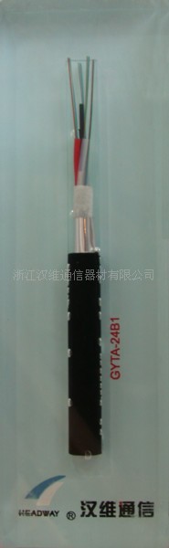 供应汉维牌各种规格型号光缆,跳线，诚征华南地区经销商!