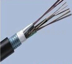 供应12芯，24芯GYTS光缆