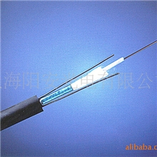供应中心束管式光缆GYXTW