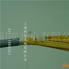 供应大芯数室内分支光缆(图)