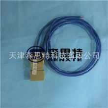 德国进口带延伸导线式铂电阻WZPK-196