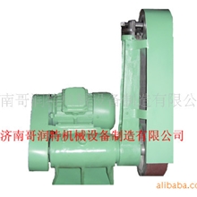 济南二机床电动砂带磨头DSM50（/A）