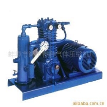 供应美国blackmer压缩机