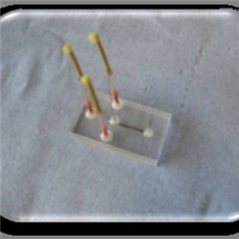 有毒有害化合物类微流控芯片