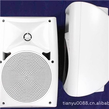 背景音乐音箱公共广播喇叭6寸喇叭会议音箱CX-AP550
