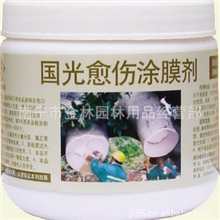四川国光愈伤口涂膜剂杀菌防腐、促进伤口愈合抑制水分蒸发