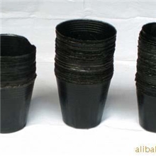 欢迎来电咨询南宁金林园林用品优质营养杯批发寸多种