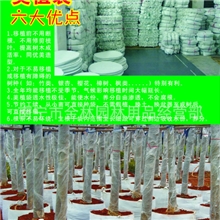 优质无纺种植袋（环保植树袋）自产自销可以定做各种规格