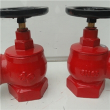 供应SN65消火栓消防器材消防设备消防栓灭火器